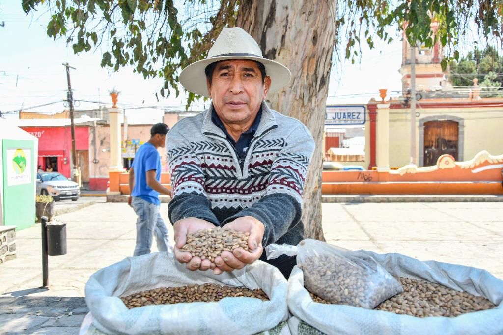 Agricultores locales ofrecerán sus productos de manera directa en próximo tianguis 'Mis semillas huamantlecas'