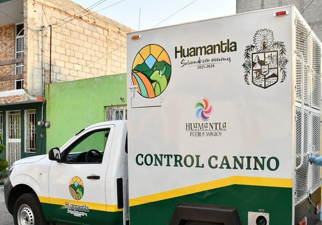 Atiende Unidad Canina de Huamantla reporte de mascotas envenenadas