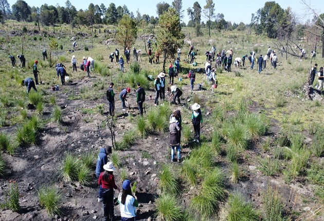 Inicia Ayuntamiento de Chiautempan campaña de reforestación 2023