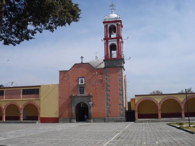 Cruel: Envenenan a dos perros en Atlahapa, Tlaxcala