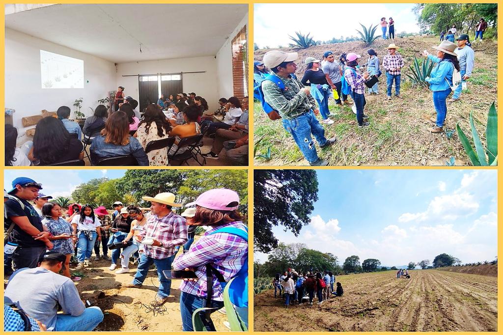 UATx y Universidad Chapingo fomentan conservación de suelos en la entidad
