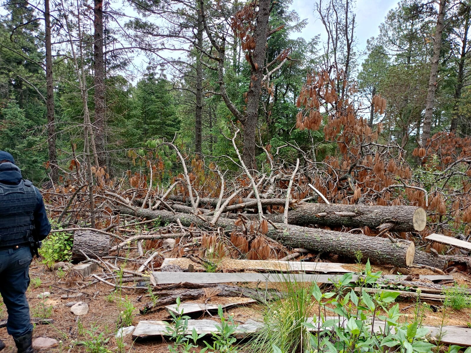 FGR participó en operativo de inspección y vigilancia en el Parque Nacional La Malinche