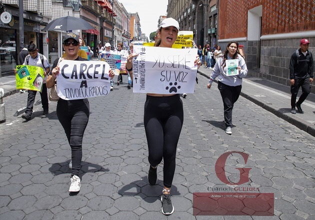 Animalistas se manifiestan por el perrito Chori, en Puebla