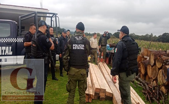 Tras conato de enfrentamiento, Policía de Montaña asegura madera ilegal en La Malinche