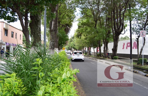 Juzgado federal suspende de manera provisional la construcción del Autotrén en Tlaxcala