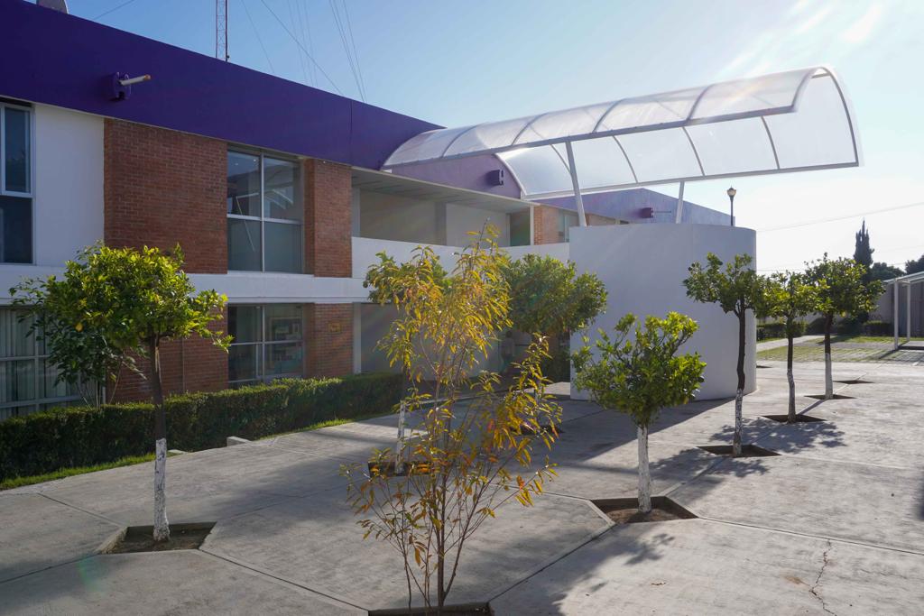 Ejecuta PGJE orden de aprehensión por daños por culpa