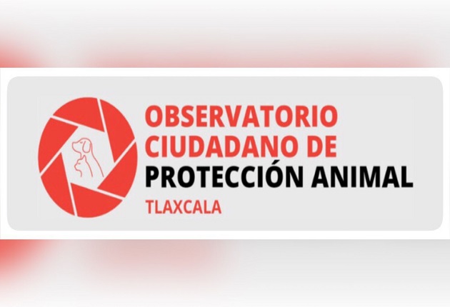 Ordena IAIP a 10 ayuntamientos informar sobre su omisión a la Ley de Bienestar Animal
