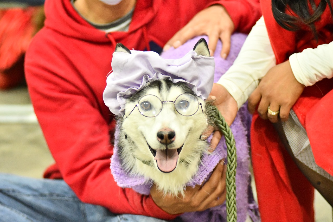 Invita gobierno de Huamantla a la tercera edición del concurso de mascotas ‘Perrorífico’