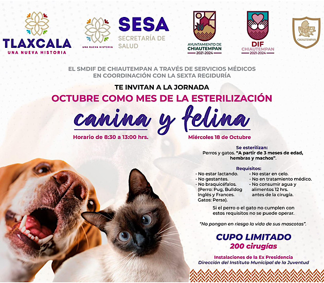 Invita SMDIF Chiautempan a jornada de esterilización canina y felina