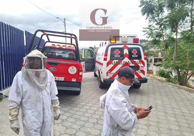 Abejas pican a tres adultos mayores en San Hipólito Chimalpa, Tlaxcala; una mujer presentó anafilaxia