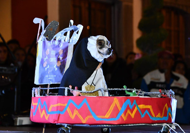 Creatividad y diversión se vivió en el concurso de disfraces 'Perrorífico' en Huamantla