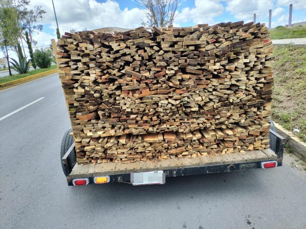 SSC asegura material forestal y destruye hornos para hacer carbón de manera ilegal