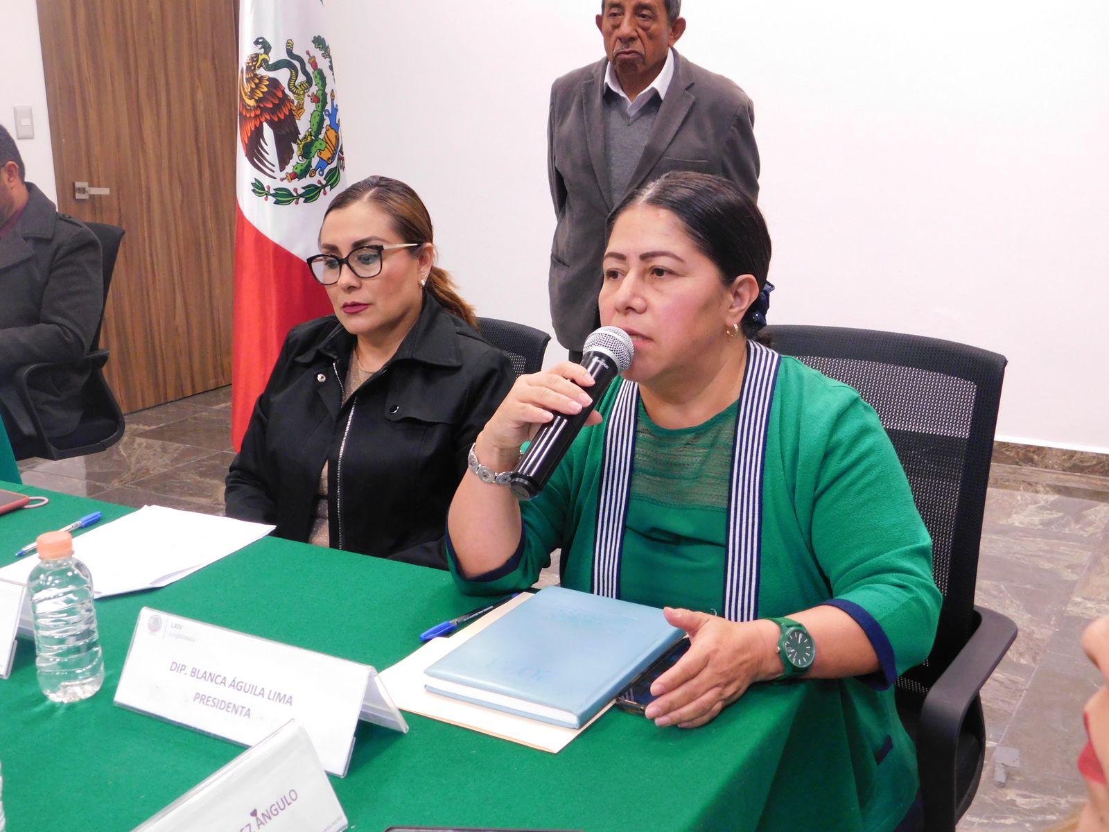 Por falta de certeza, Blanca Águila vota contra dictamen para elegir a nueva persona comisionada del IAIP
