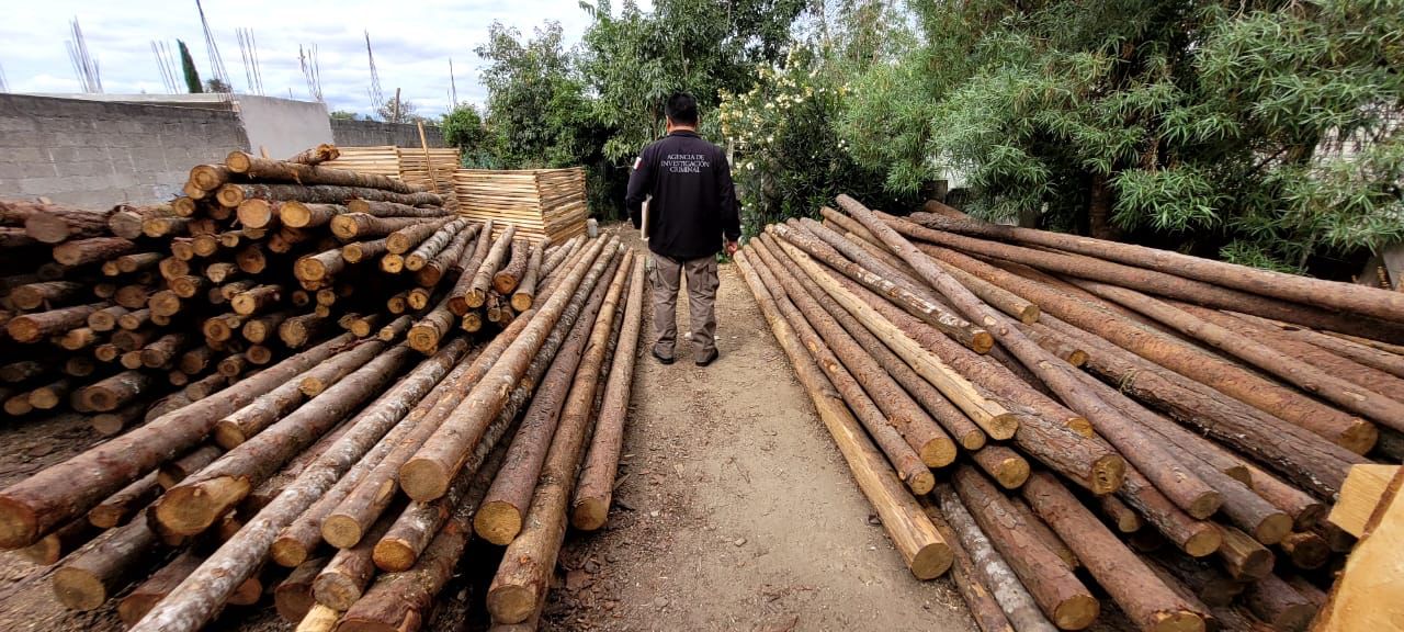 En cateo en Huactzinco, FGR asegura a una persona por un delito en materia ambiental