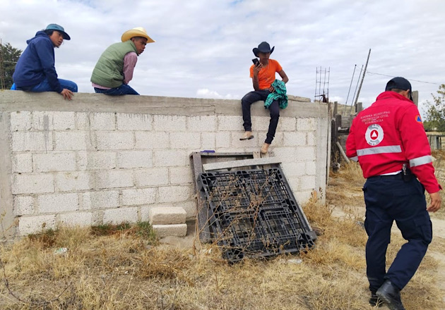 Previene Seguridad Pública de Huamantla incidentes mayores en tienta de vaquillas