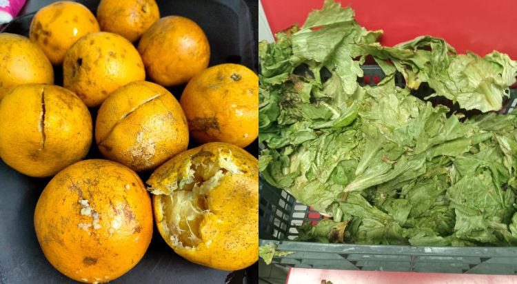 Siguen recibiendo hospitales IMSS-Bienestar en Tlaxcala alimentos en descomposición