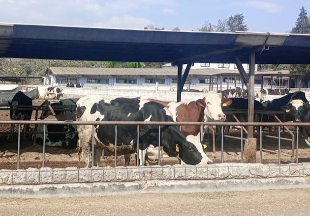 Con operativos de seguridad estratégicos se previene el abigeato en Huamantla
