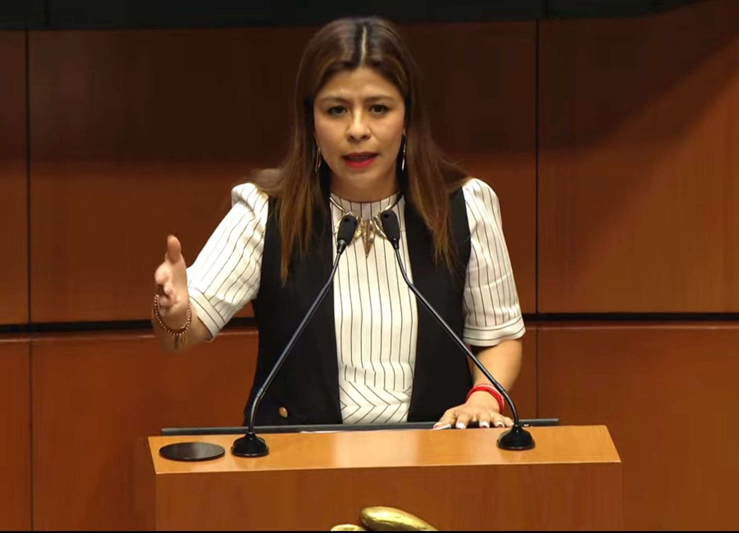 Respalda Senadora por Morena Maura Hernández el Fondo de Pensiones para el Bienestar