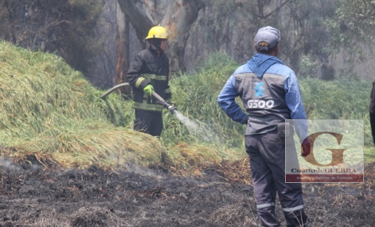 Incendio en la zona de la Ocotera moviliza a cuerpos de emergencia, en Tlaxcala