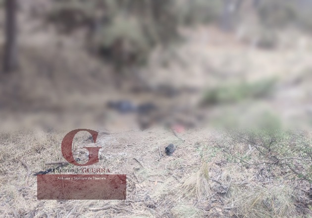 Hallan putrefacto el cadáver de una persona, en Nanacamilpa