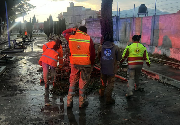 Atiende Protección Civil de Huamantla reporte por caída de rama de árbol por lluvias moderadas