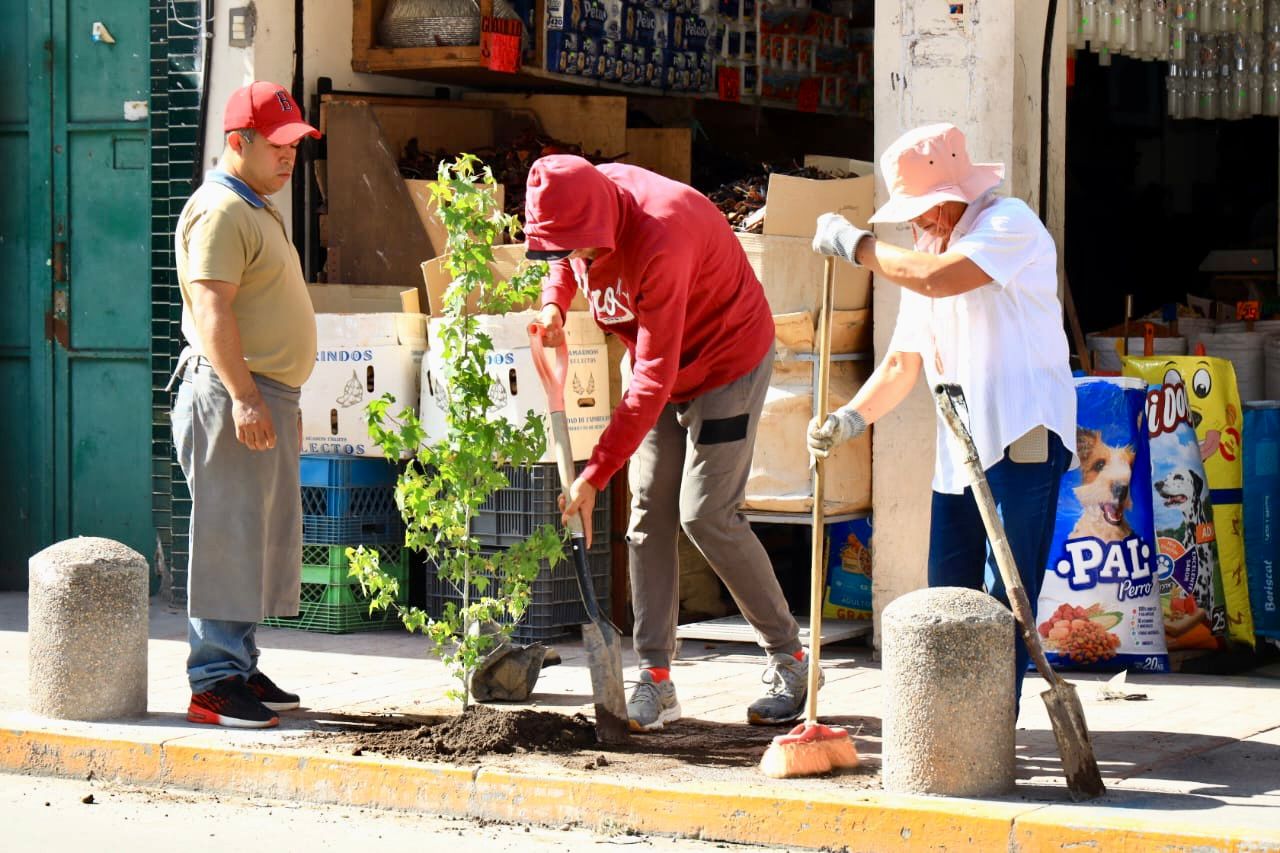 Con una buena participación se realizó la segunda parte de la campaña 1000 Árboles para Respirar en Chiautempan