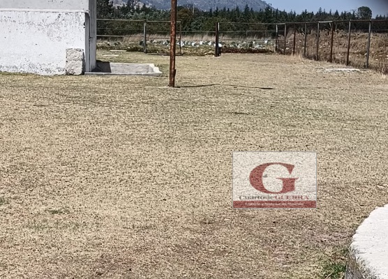Roban borregas preñadas en Escuela Secundaria Técnica No. 5 de Nanacamilpa