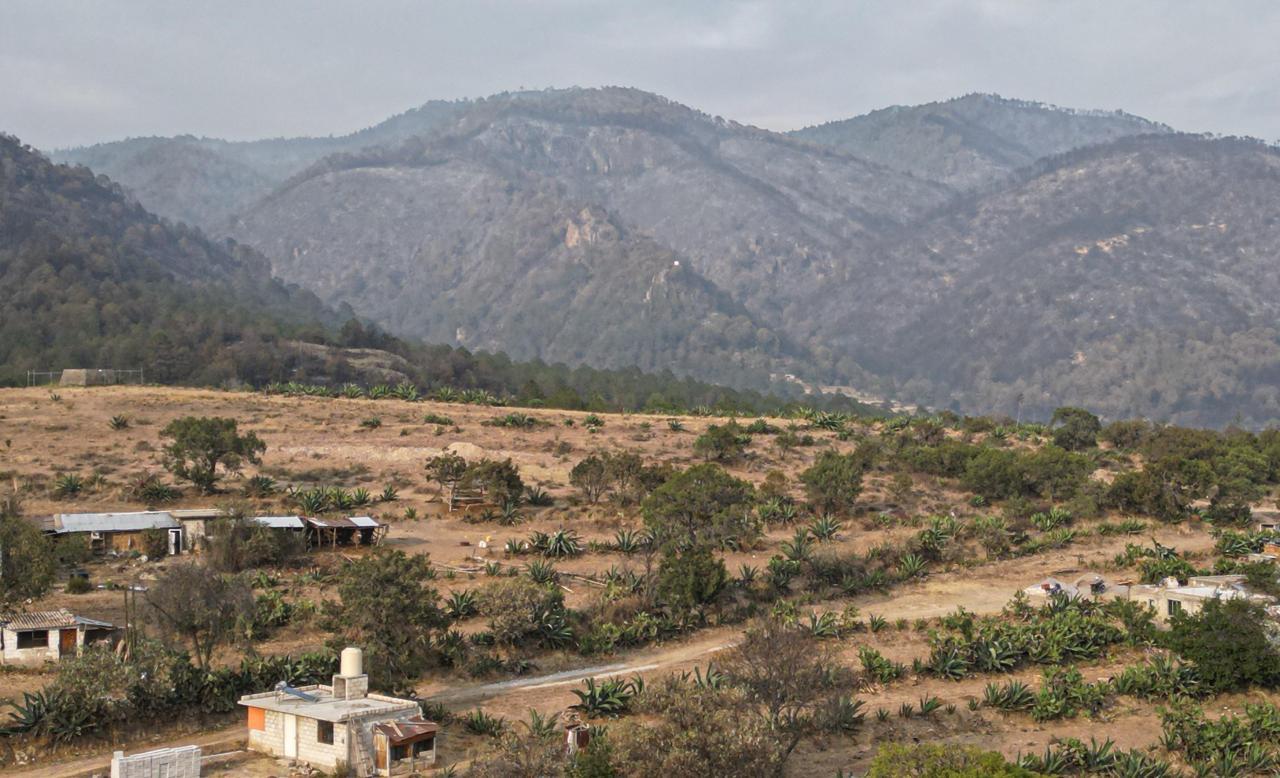Combate a incendio en Atltzayanca alcanza un 100% de territorio bajo control y 80% de liquidación