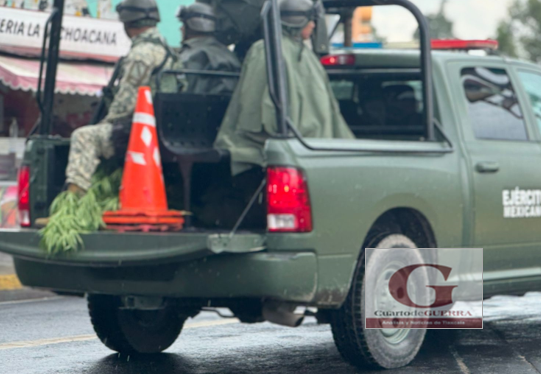 Ejército y policía aseguran plantas de marihuana en predio de Panotla