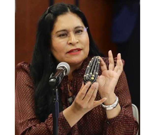 Hijos del maíz y Ana Lilia Rivera celebran demanda legal que impide siembra de transgénicos en México