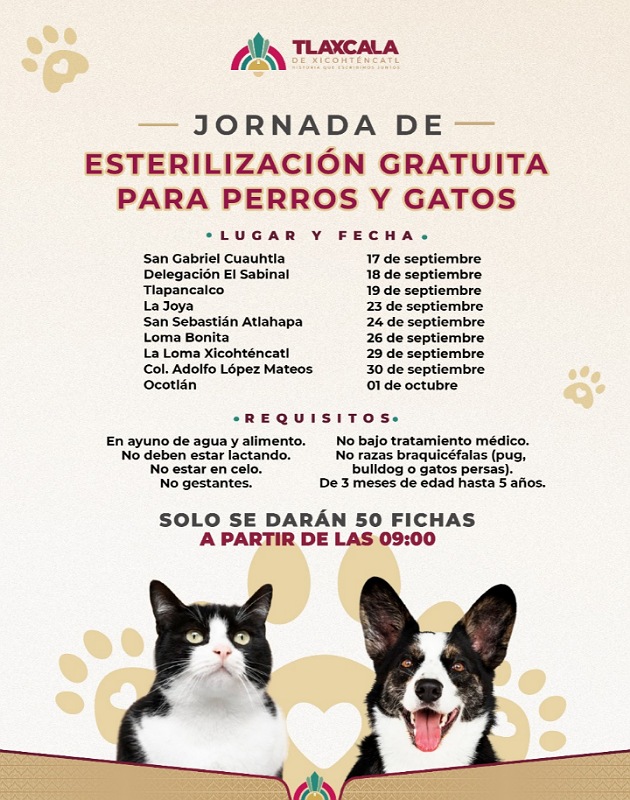 Ayuntamiento de Tlaxcala y SESA amplían fechas para esterilizar de forma gratuita a mascotas