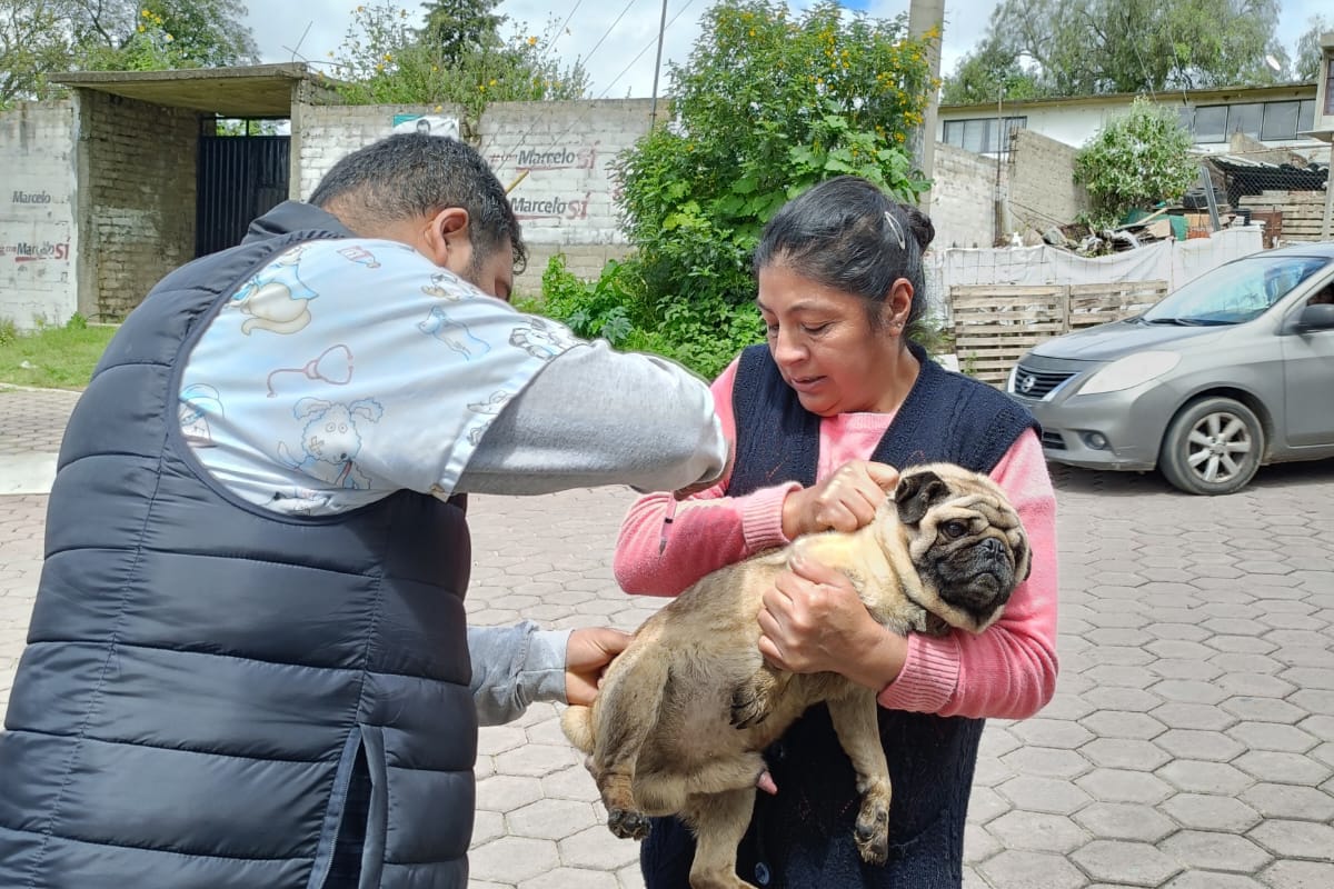 Ayuntamiento de Tlaxcala y SESA concluyen con éxito jornada sabatina de vacunación antirrábica en la capital