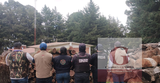 Operativo contra tala clandestina: Profepa y SSC aseguran más de 2 mil metros cúbicos de madera en la Malinche