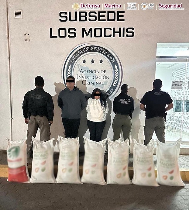 En Sinaloa, detienen a dos personas que transportaban más de 300 kilos de metanfetamina en un tractocamión