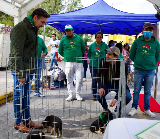 Con éxito se realiza jornada de adopción 'Adopta un Amigo' en Huamantla