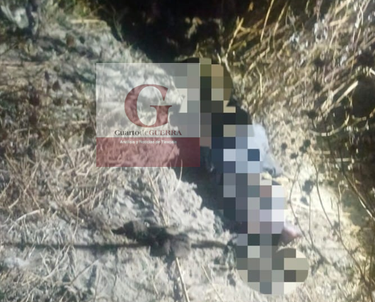 Menor de edad encuentra cadáver siendo devorado por perros en Nativitas