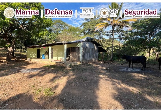 En Guerrero, desmantelan inmuebles empleados para la elaboración de drogas sintéticas