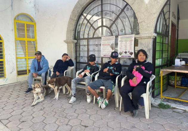 Continúan las jornadas de esterilización en Huamantla para promover la tenencia responsable