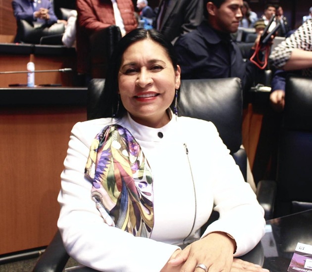 Sheinbaum necesita mayor respaldo de gobernadores y alcaldes para enfrentar los retos del país: Ana Lilia Rivera