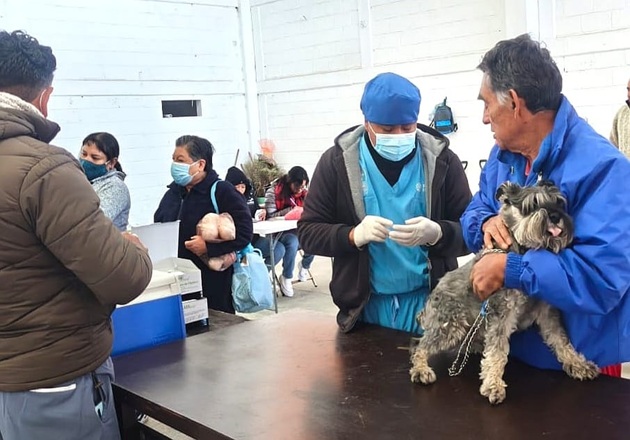 Ayuntamiento de Tlaxcala y la SESA pondrán en marcha la campaña nacional de vacunación antirrábica canina y felina