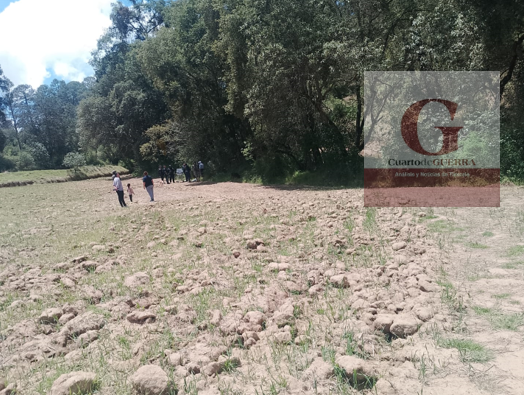 Adulto mayor sobrevive tras caer a una barranca de 8 metros en Nanacamilpa; lo rescata Protección Civil