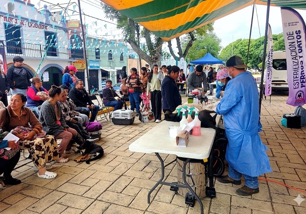 Gobierno de Alfonso Sánchez García realiza exitosa jornada de esterilización canina y felina en Ocotlán