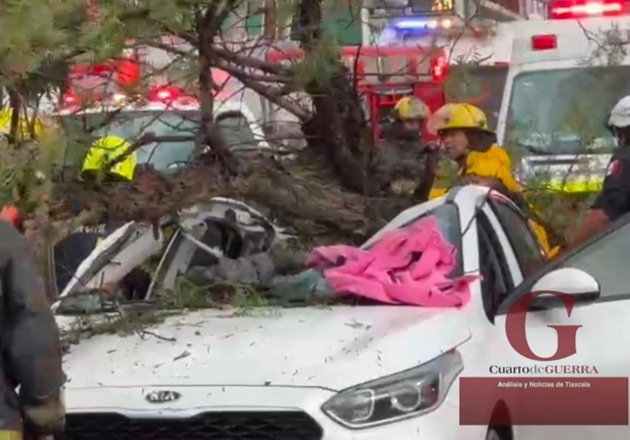 Árbol  colapsa, aplasta un auto y mata a una mujer en Puebla