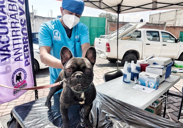 Ayuntamiento de Tlaxcala acercará servicios de salud animal a San Gabriel Cuauhtla y Tizatlán en septiembre